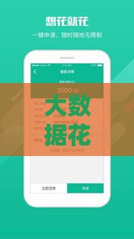 大数据花了别慌！这5个平台还能下款 速看攻略