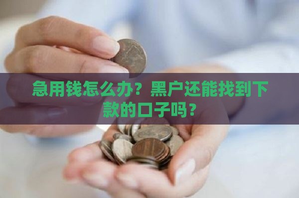 急用钱怎么办？黑户还能找到下款的口子吗？