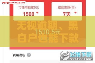 无视逾期、黑白户也能下款的靠谱口子推荐
