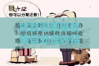 贷款逾期催收短信处理妙招：3招轻松化解催收压力