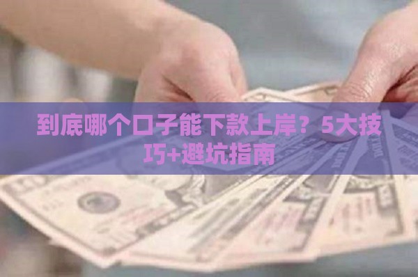 到底哪个口子能下款上岸？5大技巧+避坑指南