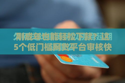 刚成年也能轻松下款？这5个低门槛网贷平台审核快、额度高