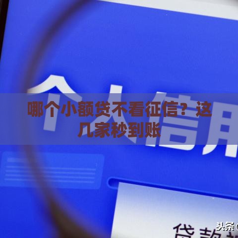 哪个小额贷不看征信？这几家秒到账