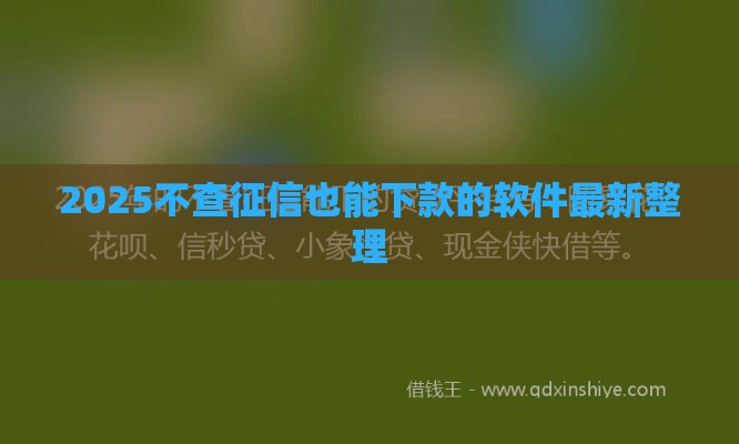 2025不查征信也能下款的软件最新整理