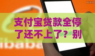 支付宝贷款全停了还不上了？别慌！教你3招解决难题