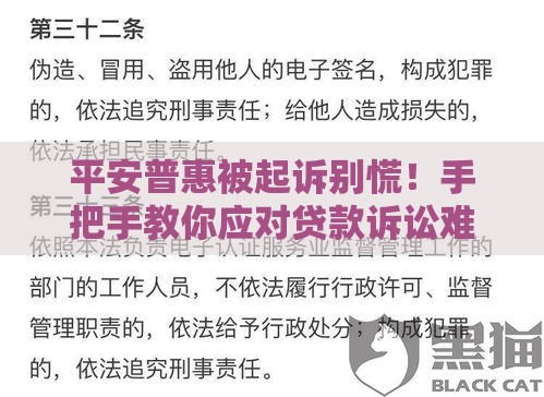 平安普惠被起诉别慌！手把手教你应对贷款诉讼难题