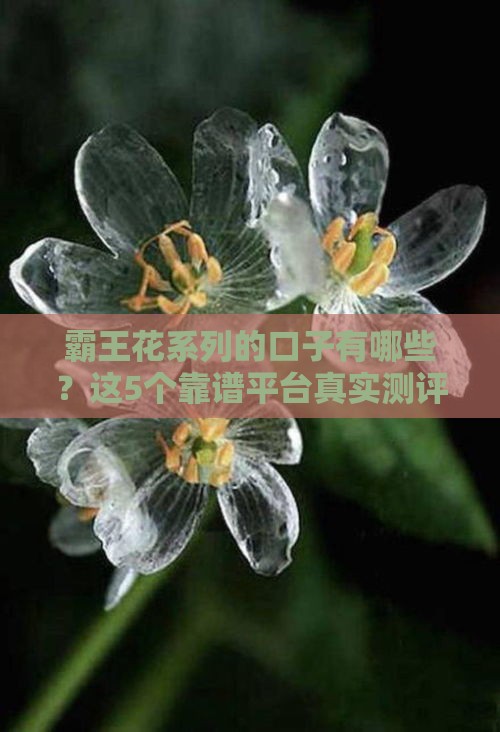 霸王花系列的口子有哪些？这5个靠谱平台真实测评！