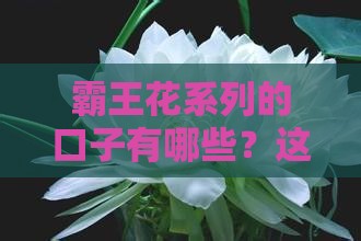 霸王花系列的口子有哪些？这5个靠谱平台真实测评！