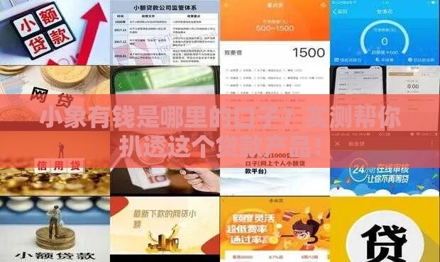 小象有钱是哪里的口子？实测帮你扒透这个贷款产品！