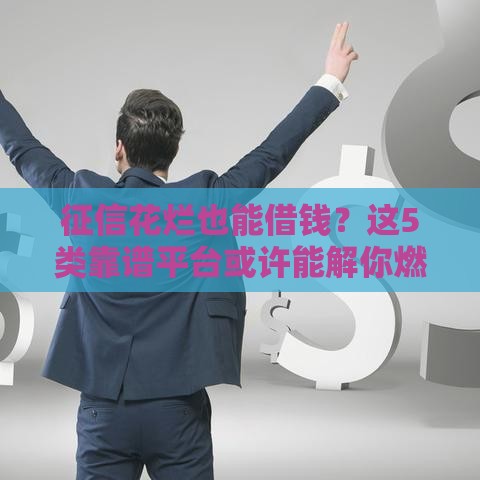 征信花烂也能借钱？这5类靠谱平台或许能解你燃眉之急