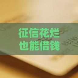 征信花烂也能借钱？这5类靠谱平台或许能解你燃眉之急