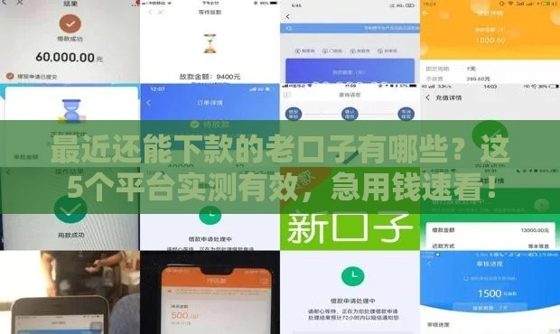 最近还能下款的老口子有哪些？这5个平台实测有效，急用钱速看！
