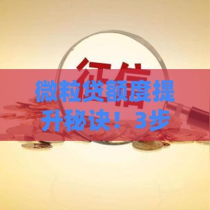 微粒贷额度提升秘诀！3步教你轻松申请更高额度