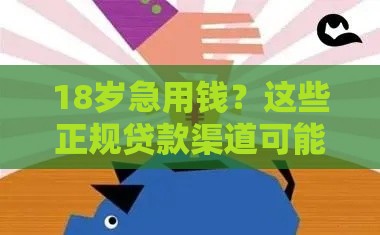 18岁急用钱？这些正规贷款渠道可能帮到你！