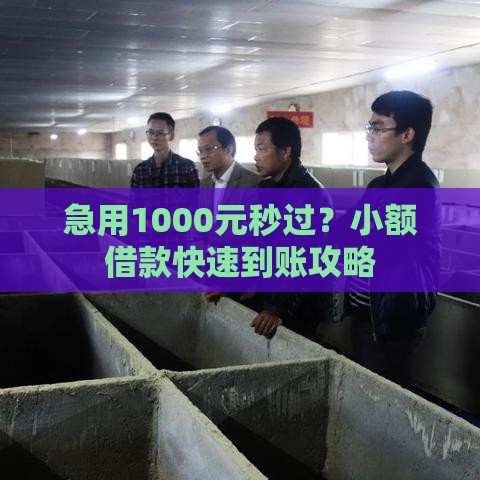 急用1000元秒过？小额借款快速到账攻略