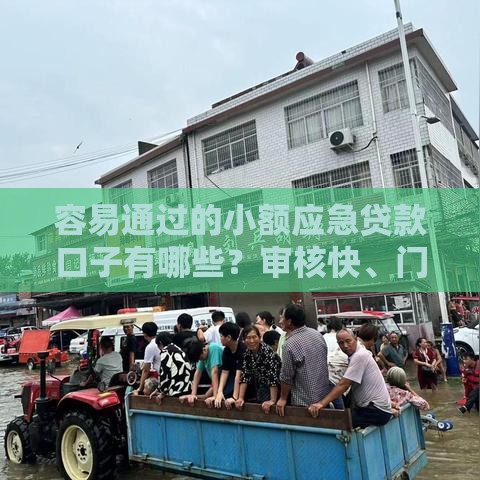 容易通过的小额应急贷款口子有哪些？审核快、门槛低的平台推荐