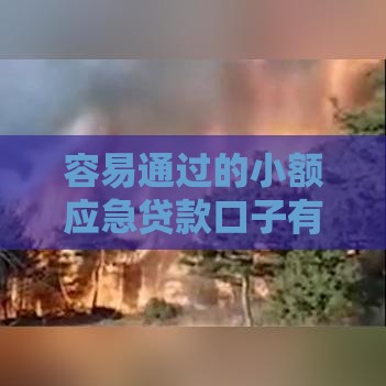 容易通过的小额应急贷款口子有哪些？审核快、门槛低的平台推荐