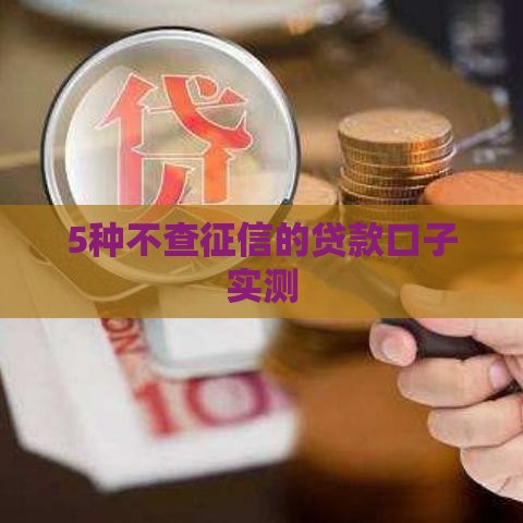 5种不查征信的贷款口子实测