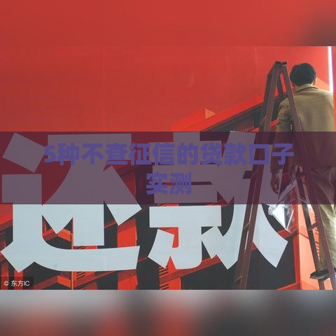 5种不查征信的贷款口子实测