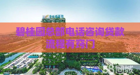 碧桂园总部电话咨询贷款流程有窍门