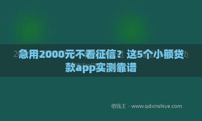 急用2000元不看征信？这5个小额贷款app实测靠谱