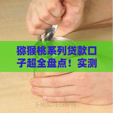 猕猴桃系列贷款口子超全盘点！实测5个靠谱平台