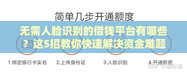 无需人脸识别的借钱平台有哪些？这5招教你快速解决资金难题