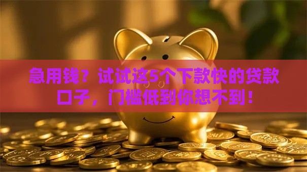 急用钱？试试这5个下款快的贷款口子，门槛低到你想不到！