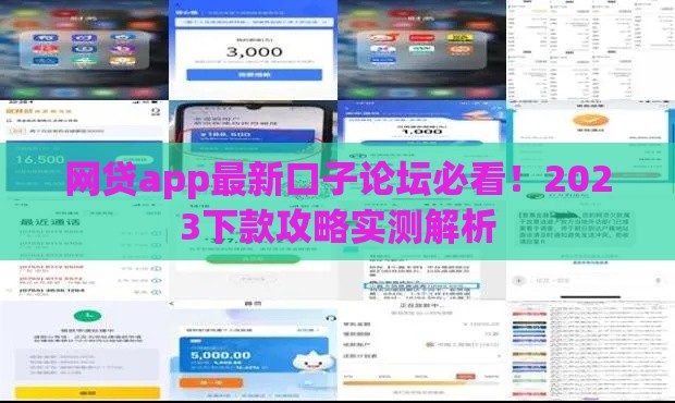 网贷app最新口子论坛必看！2023下款攻略实测解析