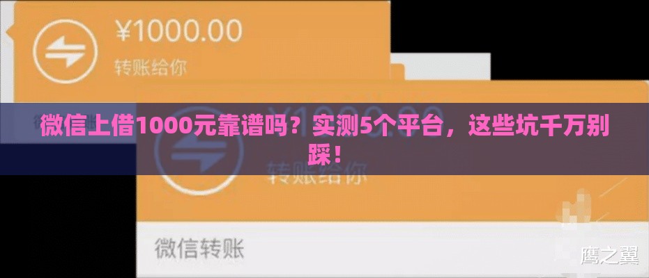 微信上借1000元靠谱吗？实测5个平台，这些坑千万别踩！