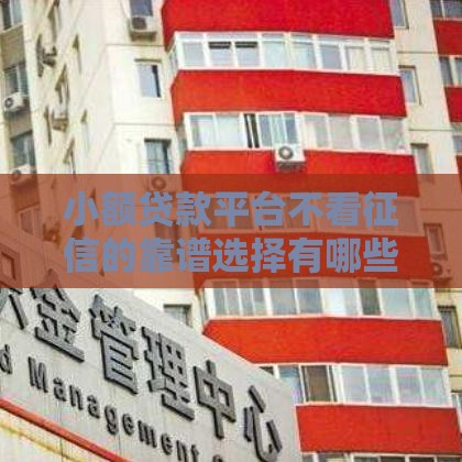 小额贷款平台不看征信的靠谱选择有哪些？