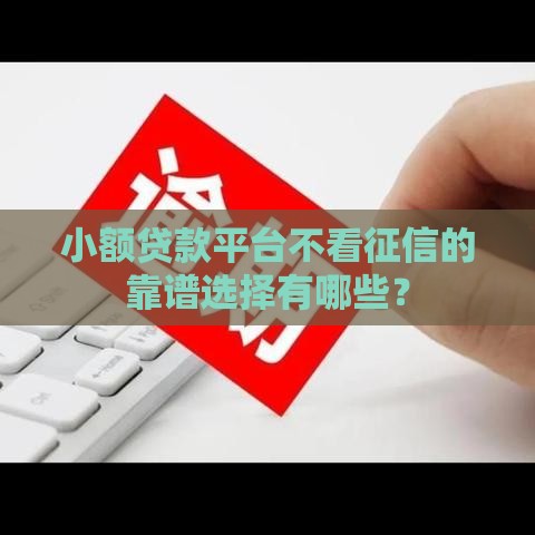 小额贷款平台不看征信的靠谱选择有哪些？