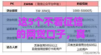这5个不看征信的网贷口子，真实靠谱吗？