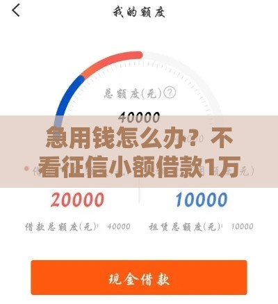 急用钱怎么办？不看征信小额借款1万以下实用攻略