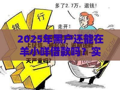 2025年黑户还能在羊小咩借款吗？实测攻略来了