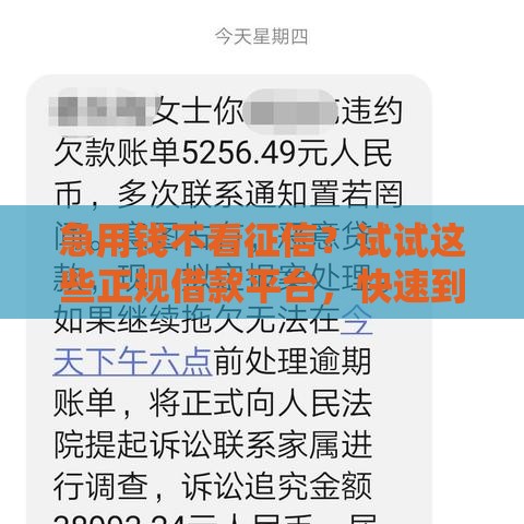 急用钱不看征信？试试这些正规借款平台，快速到账有诀窍！