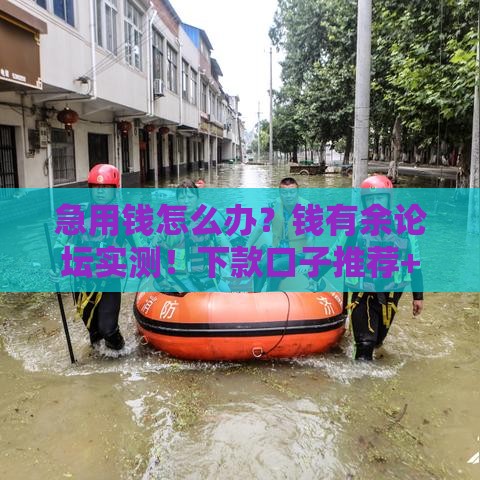 急用钱怎么办？钱有余论坛实测！下款口子推荐+避坑指南