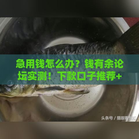 急用钱怎么办？钱有余论坛实测！下款口子推荐+避坑指南