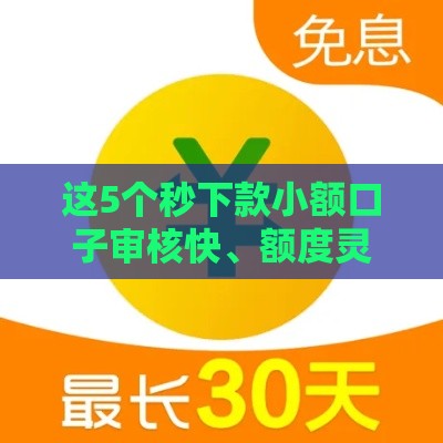 这5个秒下款小额口子审核快、额度灵活