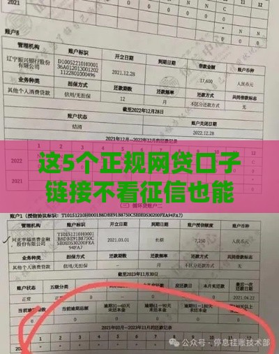 这5个正规网贷口子链接不看征信也能申