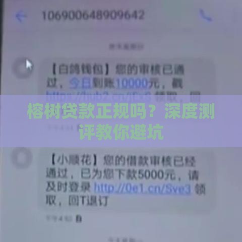 榕树贷款正规吗？深度测评教你避坑