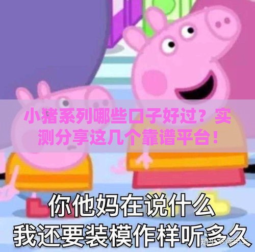 小猪系列哪些口子好过？实测分享这几个靠谱平台！