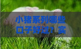 小猪系列哪些口子好过？实测分享这几个靠谱平台！