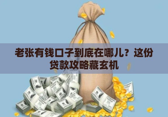 老张有钱口子到底在哪儿？这份贷款攻略藏玄机