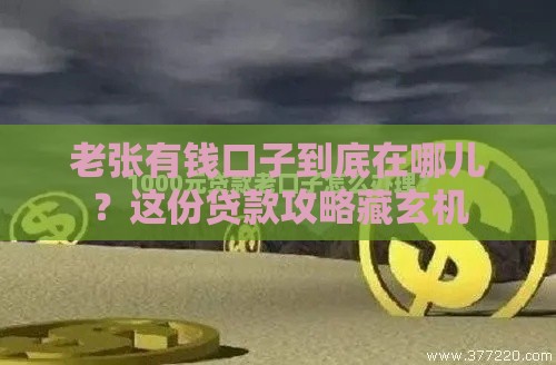 老张有钱口子到底在哪儿？这份贷款攻略藏玄机