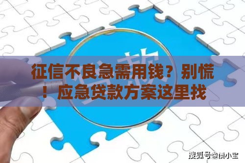 征信不良急需用钱？别慌！应急贷款方案这里找