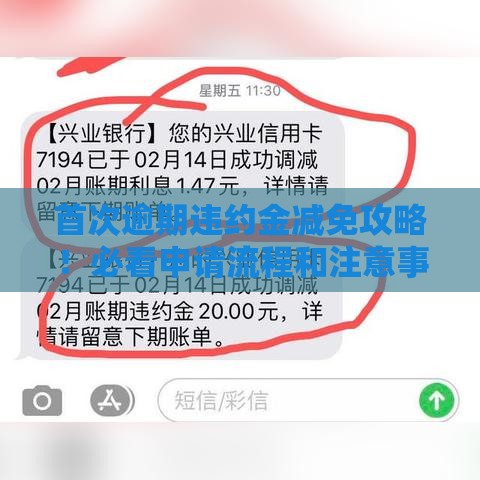 首次逾期违约金减免攻略！必看申请流程和注意事项