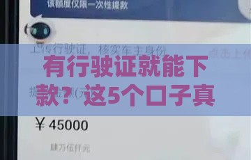 有行驶证就能下款？这5个口子真实测评！