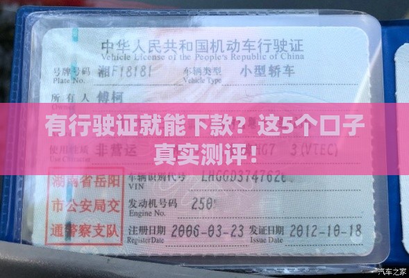 有行驶证就能下款？这5个口子真实测评！
