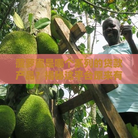 菠萝蜜是哪个系列的贷款产品？揭秘这平台原来有这些门道！